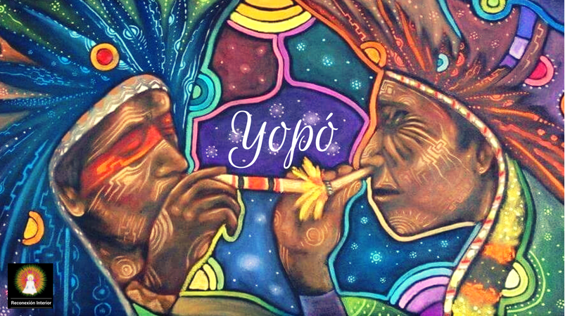 Yopó DMT en Veracruz